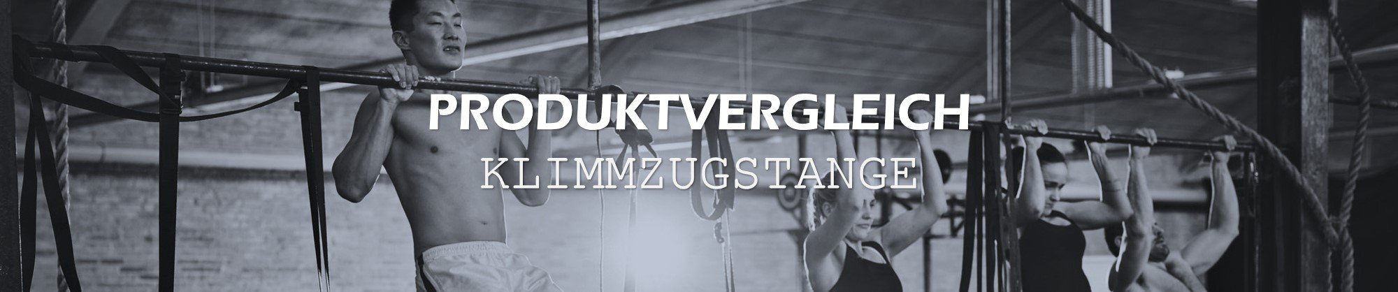 Klimmzugstangen Produktvergleich