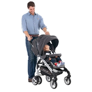 Gesslein S2 Buggy
