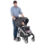 Gesslein S2 Buggy