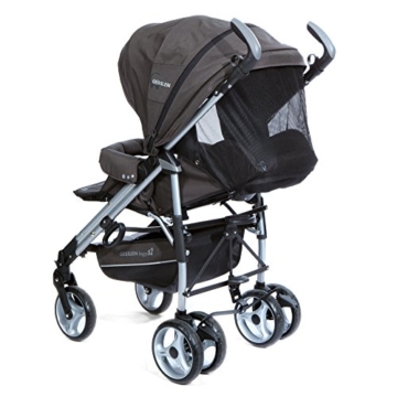 Gesslein S2 Buggy
