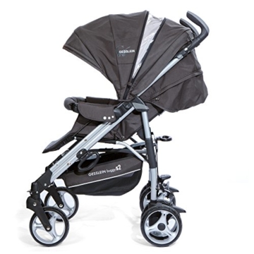 Gesslein S2 Buggy