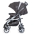 Gesslein S2 Buggy