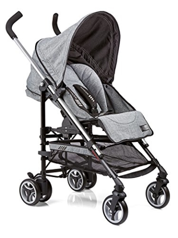 Gesslein S5 Buggy - 
