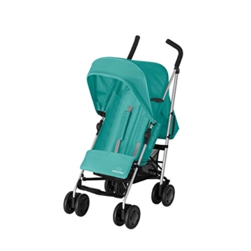 Koelstra Simba T4 Buggy