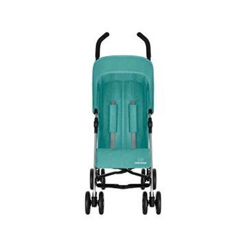 Koelstra Simba T4 Buggy